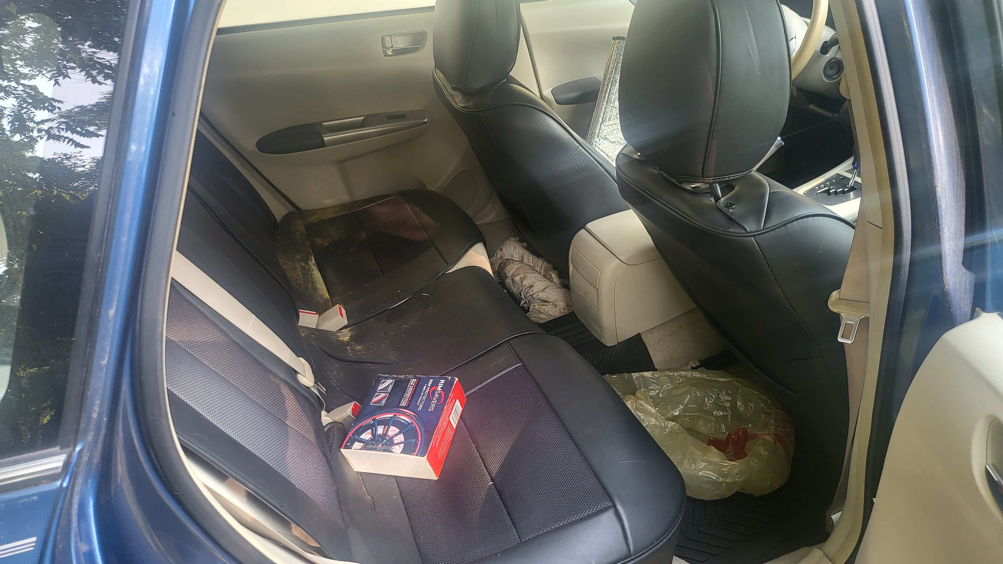 Interior, rear seat view